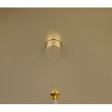 Trio Select LED viseća svjetiljka u zlatnoj boji Cala – | shoptok.hr