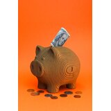 Cartonic 3D puzzle Kasica | shoptok.hr