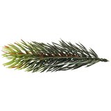  Božićni ukras-ukrasna male grančice zelena 6,5 cm-9 kom set | shoptok.hr
