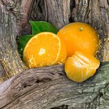 Axe Africa dezodorant v pršilu za moške 150 ml | Shoptok.si