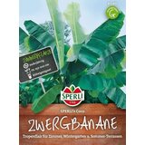 SPERLI Pritlikava banana "Sperli's Coco" Cene