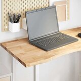 vidaXL Ploča za radni stol 100x50x2,5cm netretirane masivne hrastovine | shoptok.hr