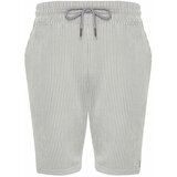 Trendyol Gray Striped Regular/Normal Fit Shorts cene