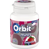  Mints - Wild Berry - 77 g Cene