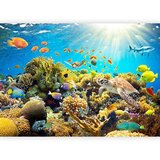 Artgeist Fototapeta Underwater Land, 100x70cm | Shoptok.si