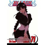 VIZ Media Tite Kubo - Bleach, Vol. 71: Baby, Hold Your Hand | ePonuda.com