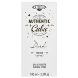 Authentic Dark toaletna voda 100 ml za moške