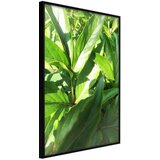  Poster - Somewhere in the Garden 20x30 Cijene