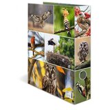 Herma registrator Animals, A4, 70 mm, ptice | Shoptok.si