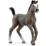  13957 - Horse Club - žrebe Cheval de Selle Francais | Shoptok.si