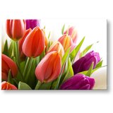  Slike na platnu cvetje tulipani KV138E11 (moderne slike na) | shoptok.hr