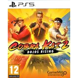  PS5 Cobra Kai Dojos Rising cene