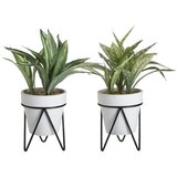  CVIJEĆE PVC H21 10Χ10Χ27CM | Eponuda.ba