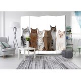 Artgeist Paravan Sweet Cats I, 5-Delni, Dvostranski | Shoptok.si