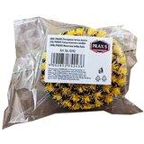 Praxis četka za bušilicu 1 kom | ePonuda.com