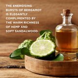 Baylis & Harding The Fuzzy Duck Bergamot, Hemp & Sandalwood božićni poklon set 2024 (za muškarce) | shoptok.hr