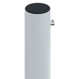 vidaXL Zložljiva stranska tenda Doppio antracitna 180x600 cm - | Shoptok.si