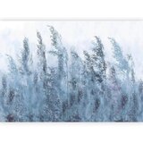Artgeist Fototapeta Tall Grasses, 150x105cm | Shoptok.si