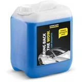 Autoshampoo 10 litara