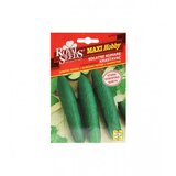 ROYAL SEEDS Sjeme krastavac sunčani potok 208-02819 | Eponuda.ba