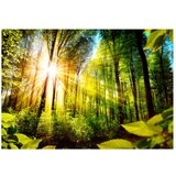  Samoljepljiva foto tapeta - Forest Hideout 294x210 | shoptok.hr