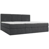 MID.YOU DRUŽINSKA POSTELJA 270 cm x 200 cm , les, tekstil, leseni material antracit | Shoptok.si