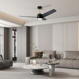 Immax NEO 07280L -LED prigušiva plafonski ventilator BEAUTY 18W/230V crni Wi-Fi Tuya + daljinski upravljač | Eponuda.com