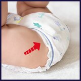 Pampers Night Pants pelene-gaćice | shoptok.hr