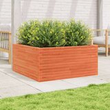 vidaXL vrtno cvetlično korito voščeno 100x100x46 cm trdna borovina, (21266424) | Shoptok.si