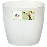 ELHO Brussels Tegla za orhideju (Vanjska dimenzija (ø x V): 12,7 x 15,2 cm, Prozirno) | shoptok.hr