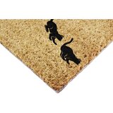 Artsy Doormats Otirač od kokosovih vlakana 40x60 cm Jumping Cats – | shoptok.hr