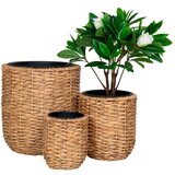 House Nordic Posude za cvijeće u setu 3 kom od vodenog zumbula ø 49 cm Hanoi – | shoptok.hr