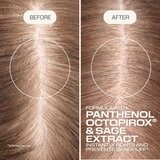 Goldwell Dualsenses Scalp Specialist Anti-Dandruff Shampoo šampon protiv peruti 250 ml | shoptok.hr