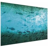  Plakat - Group of Dark Fish 30x21 Bez okvira | shoptok.hr