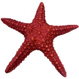 Sobo Zvezda 15 x 15 x 3 cm | Eponuda.com
