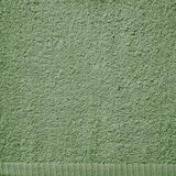 Catherine Lansfield Zeleni brzosušeći/od frotira pamučan ručnik 70x120 cm Quick Dry – | shoptok.hr