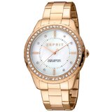 Esprit Ročna ura | Shoptok.si