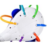  Šareni kit prskalica ZA4281 | shoptok.hr