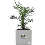 ELHO Korito za rastline vivo next quadrat - 30 cm - Beton Cene