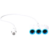 hoco. Avto polnilec / razdelilnik za pametne telefone, 2 x USB, 5V / 3.1 A - C1 | Shoptok.si