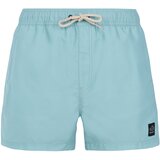  Men's beach shorts PRTSTILO Cene