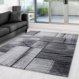 Ayyildiz Carpets Tamno sivi tepih 160x230 cm Parma – | shoptok.hr