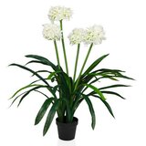 MID.YOU Umetna Rastlina Agapanthus Cene