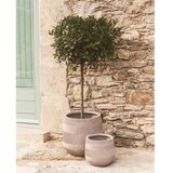 Kave Home Betonski okrasni cvetlični lonci v kompletu 2 ks ø 50 cm Tival – | Shoptok.si