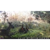 OXE Fotozamka Gepard II, eksterna baterija 6V/7Ah i kabel za napajanje + 32GB SD kartica i 4kom baterija! | shoptok.hr