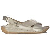Maciejka 0099464005 Gold | shoptok.hr