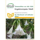 Saflax Kristavec / bela Cene