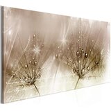  Slika - Drops of Dew (1 Part) Brown Wide 100x45 Cijene