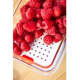 Rotho Organizator hladnjaka CAUMA kutija 1,15 L | shoptok.hr