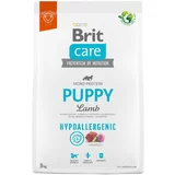 Brit Care Dog Hypoallergenic suha pasja hrana po posebni ceni! - Puppy jagnjetina & riž 3 kg